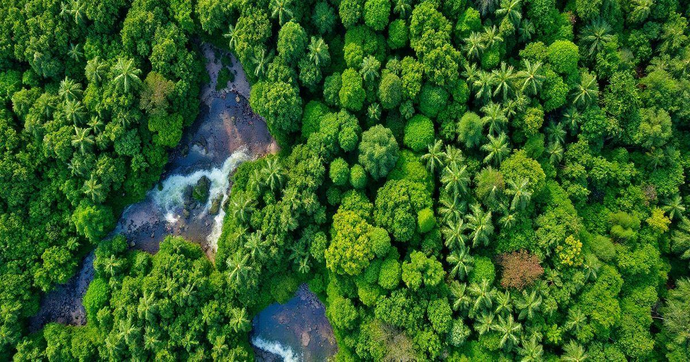 Diagnóstico ambiental: a importância da avaliação para a sustentabilidade